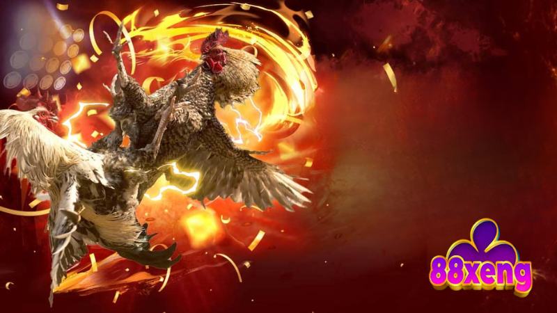 Đá Gà Thomo - Sân Chơi Kiếm Thưởng Tiềm Năng Cho Ai Đam Mê